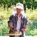 대중목공