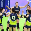 현대인삼 이미지