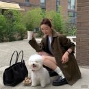 더 테라스짐 | 더로우 테라스백 후기 모음, 제니 찐템인데 반품한 이유가 있대요