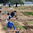 수기농장 이미지