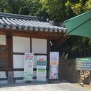 죽녹원 | 담양 죽녹원 후기