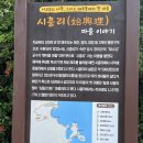 클로버비앤비 | 제주 동쪽 성산일출봉 숙소 : 클로버비앤비 2박 후기