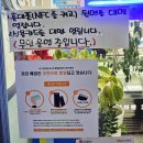 홈플러스 해운대점 맞은편 보도 | 해운대회포장 배달회맛집 수아아빠24시회마트