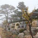 남한강변길 이미지