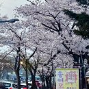 경마공원역 1번출구 이미지