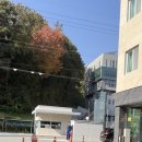 씨유 마산회원 국제점 | 마산동부 경찰서 국제면허증 발급