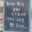 일희일비