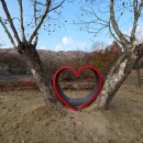 관문체육공원 이미지