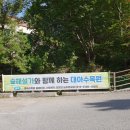 대아수퍼 이미지