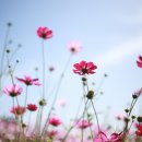 참좋은날