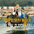 무지개낚시터 | 구매항 무지개좌대 쭈꾸미 낚시 조황 야간 방갈로 시설 시간배 후기
