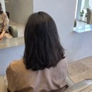 우리원예클리닉 | 목포 평화광장 미용실 - 윤슬채 헤어💇‍♀️ 염색하러 갔는데 클리닉, 커트까지 한 번에 해결