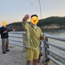 야미도 | 군산 야미도 선착장 쉽지않았던 풀치후기