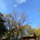 성저공원(대화도서관 옆) 이미지