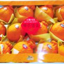 감귤향기힐링파크 이미지