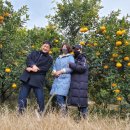 야베스농장 이미지