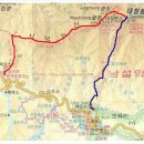 최*용6 이미지
