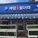 세영자연산활어회