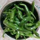 영남이용소 이미지