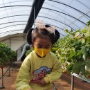 태광염소 이미지