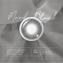 안경단아 이미지