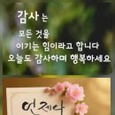 안전오트바이