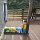 바람의 언덕 | 태백 매봉산 바람의 언덕 방문 후기