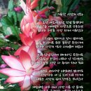 성화개발주 이미지
