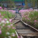 북천면사무소 이미지