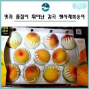 안골농원 이미지