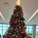 신안세탁소 이미지