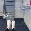 골드파운틴 | 인천에서 라스베가스로 ✈️ 대한항공 마일리지 항공권 예매, 비상구 좌석 추천/비추천, 대한항공 기내식 후기