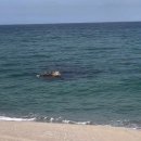 강원도 삼척 가볼만한 곳 BEST 10｜환선굴부터 장호항까지, 지금 떠나면 더 좋은 삼척 이미지