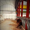 오리골농장 이미지