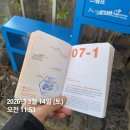 7-1코스 | 제주올레길 7-1코스 후기 (역올레 / 역방향)