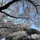 청풍보건지소 이미지