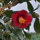 다움공인중개사사무소 이미지