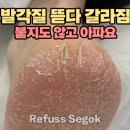 레푸스강남세곡점 이미지
