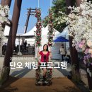 신주헤어 | 2026 강릉 단오제 꼭 아이와 함께 방문해야 하는 이유, 체험 프로그램 소개