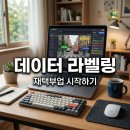 뮤즈PC | 데이터 라벨링 재택알바 후기 부업 아이디어 추천