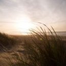 시와 더불어 사는 삶 이미지