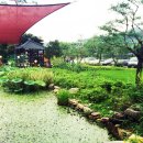 들풀식당 이미지