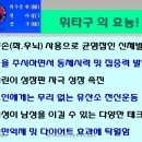 휘타구의 운동효과 이미지