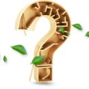 회생한의원 이미지