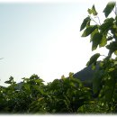 변산농장 이미지