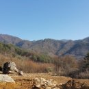 소개울길 Daum카페