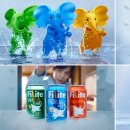 필라이트