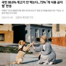 국민 88.6% 개고기 안 먹는다...73% '개 식용 금지법' 찬성 이미지