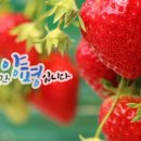 청운농촌체험마을 이미지