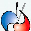 건강과약초 이미지